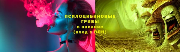 PSILOCYBIN Алексеевка