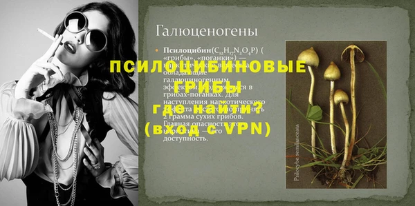 PSILOCYBIN Алексеевка