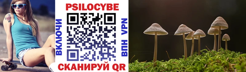 закладка  Кремёнки  Галлюциногенные грибы Cubensis 